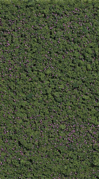 Image for 189-7348 Flage Pad Forest Blberrie