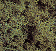 Image for 189-7318 Fm scatter course md grn