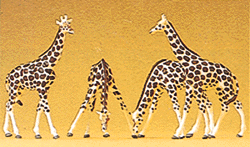 Image for 590-79715 Giraffes