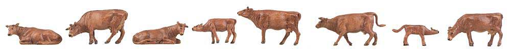 Image for 272-151922 Swiss Brown Cattle