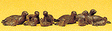 Image for 590-20395 Seals 12/