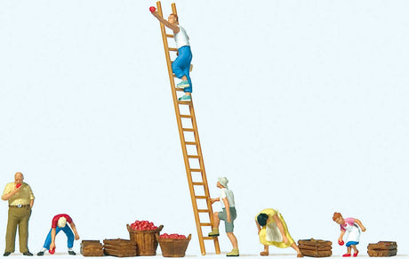 Image for 590-10720 Apple Harvest w/Accsrs 6/