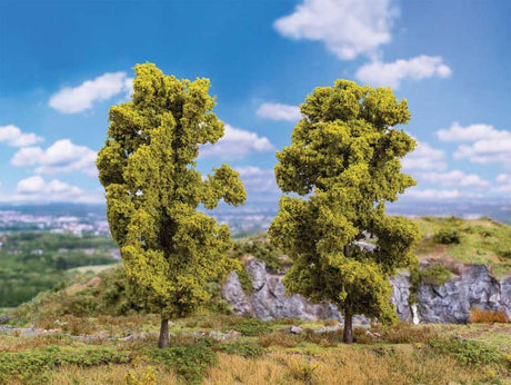 Image for 272-181578 Ash Trees  2/