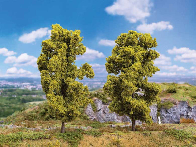 Image for 272-181578 Ash Trees  2/