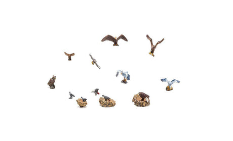 Image for 785-1970 Birds and Nests