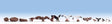 Image for 528-15775 Birds 15/