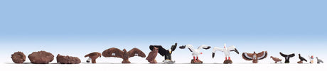 Image for 528-15775 Birds 15/