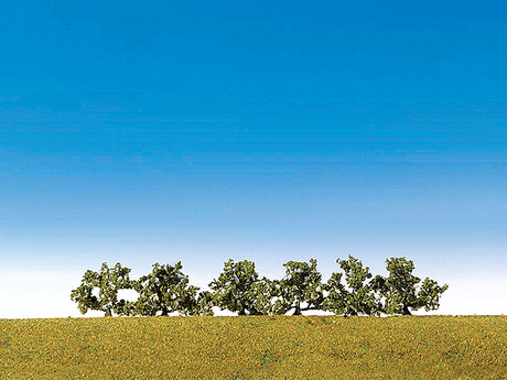 Image for 272-181478 Bushes blooming 1.6"   6/