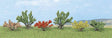 Image for 189-6055 Bushes Assorted 6/