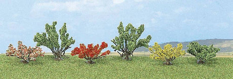 Image for 189-6055 Bushes Assorted 6/