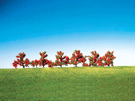 Image for 272-181476 Bushes w/red flwrs     6/