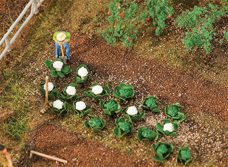 Image for 272-181257 Cabbage/Cauliflower 10ea