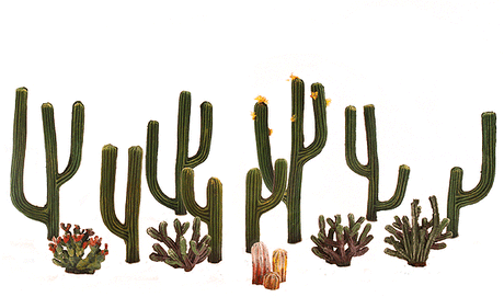 Woodland Scenics 3600 Cactus - Woodland Classics(TM) Ready Made Trees(TM) -- 1/2 to 2-1/2"  1.3 to 6.4cm pkg(13) A Scale