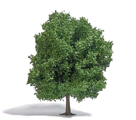 Image for 189-3763 Chestnut Tree