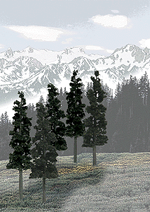 Woodland Scenics 1582 Coniferous Tree Pack - Ready Made Trees(TM) -- 6 to 8"  15.2 to 20.3cm pkg(12) A Scale