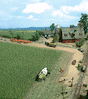 Image for 189-1202 Corn Field 10x10cm
