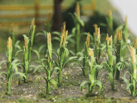 Image for 160-32501 Corn Stalks 1" 30/
