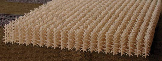 Image for 188-204 Cornfield Lrg Fall Hrvst