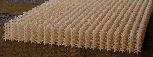 Image for 188-202 Cornfield Autumn Harvest