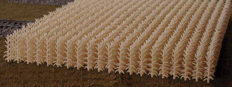 Image for 188-202 Cornfield Autumn Harvest