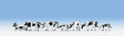 Image for 528-15721 Black-white Cows 7/