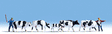 Image for 528-15724 Drover & Cows 7/