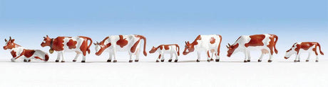 Image for 528-36723 Cows brown & white 9/