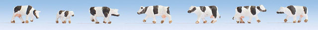 Image for 528-44250 Cows Black & White 7/