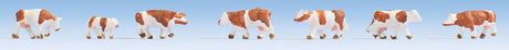 Image for 528-44251 Cows brown & white