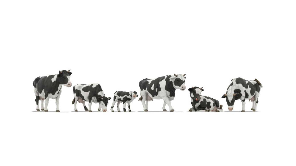 Image for 528-44540 Cows
