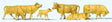 Image for 590-10147 Cows Light Brn 6/
