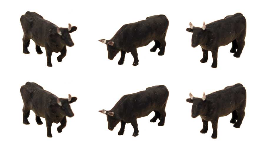 Image for 738-282877 Cows 6/