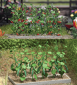 Image for 189-1214 Cucumber & Tomato Plants
