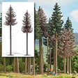 Image for 189-6167 Dead Spruce 160/180mm 2/