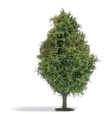 Image for 189-3723 Deciduous Tree Lat Summer