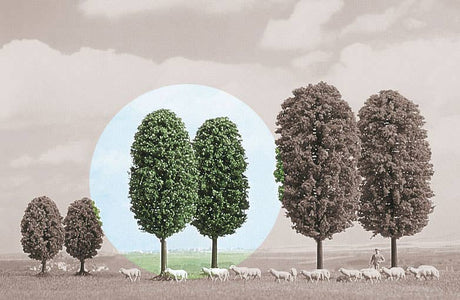 Image for 189-6053 Deciduous Tree 100mm  2/