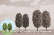 Image for 189-6227 Birch Tree 55mm 2/