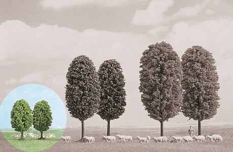 Image for 189-6227 Birch Tree 55mm 2/
