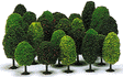 Image for 189-6487 Deciduous Tree Assrt 25/