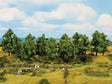 Image for 528-24602 Dcds Tree 14-18cm 6/