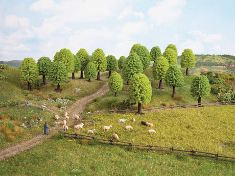 Image for 528-26801 Deciduous Trees 25/