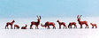 Image for 528-36730 Deer 9/