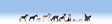 Image for 528-15717 Dogs 9/