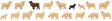 Image for 272-151917 Domestic Sheep