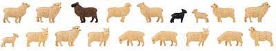 Image for 272-151917 Domestic Sheep