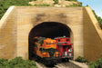 Image for 493-129 Dbl Tnl Prt Brd Frm Conct