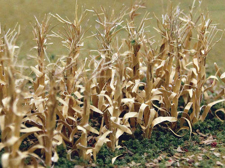 Image for 160-32503 Dried Corn Stalks 1" 30/