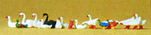 Image for 590-14167 Ducks, geese & swans  16/