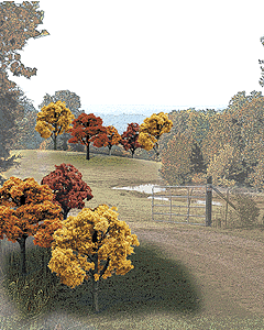 Image for 785-1576 Trees Fall 2-3" 23/