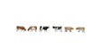 Image for 738-328124 Cows in a Farm